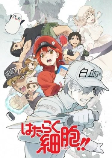 hataraku-saibou-2-2021